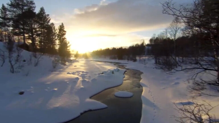 cronache_animali_010